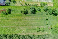 IN504069 - zdjęcie nr 2
