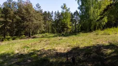 IN909272 - zdjęcie nr 2