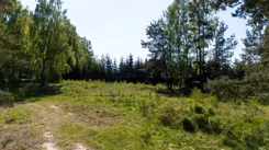 IN909272 - zdjęcie nr 3