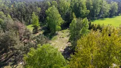 IN909272 - zdjęcie nr 4