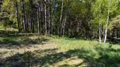 IN888052 - zdjęcie nr 2