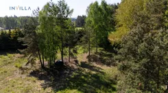 IN476630 - zdjęcie nr 3