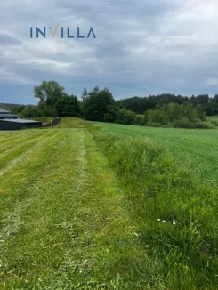 IN381445130 - zdjęcie nr 3