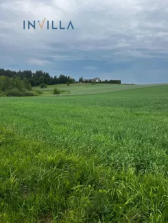 IN381445130 - zdjęcie nr 4