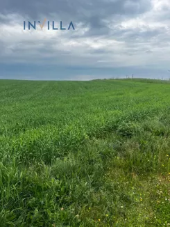 IN573152479 - zdjęcie nr 4