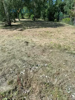 IN893428 - zdjęcie nr 2