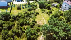 IN594942 - zdjęcie nr 3