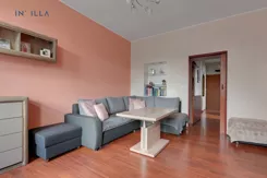 IN448955 - zdjęcie nr 3