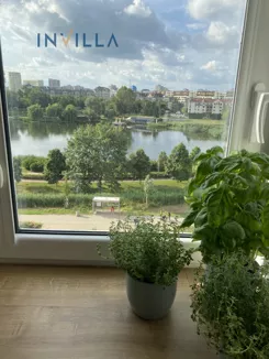 IN559017 - zdjęcie nr 4
