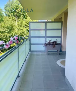 IN584811439 - zdjęcie nr 0