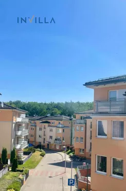 IN584811439 - zdjęcie nr 3
