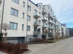 137 - zdjęcie nr 2