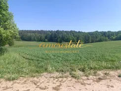 29/19434/OGS - zdjęcie nr 0