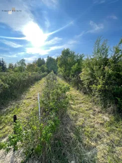 FE483442 - zdjęcie nr 3