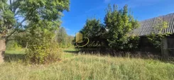 12/14712/ODS - zdjęcie nr 3