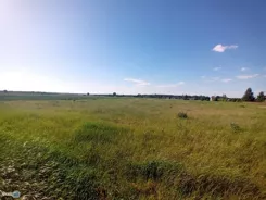 TWJ-DS-2743 - zdjęcie nr 4