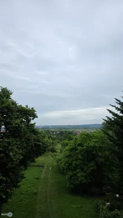 TWJ-DS-2780 - zdjęcie nr 1