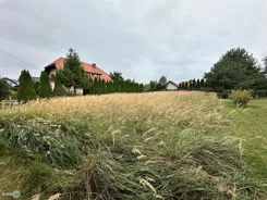 TWJ-GS-2879 - zdjęcie nr 1