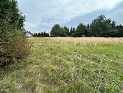 TWJ-GS-2879 - zdjęcie nr 2