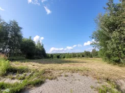 TWJ-GS-2343 - zdjęcie nr 0