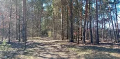 TWJ-GS-2252 - zdjęcie nr 0