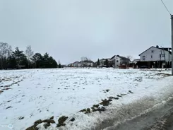 TWJ-GS-2590 - zdjęcie nr 4