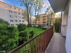 TWJ-MS-2708 - zdjęcie nr 2