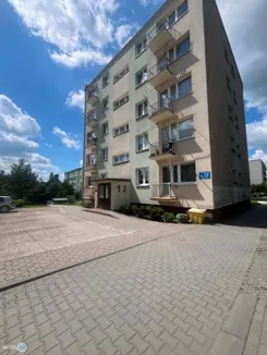 TWJ-MS-2809 - zdjęcie nr 0