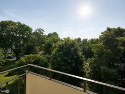 TWJ-MS-2786 - zdjęcie nr 2