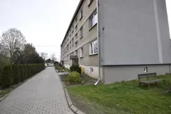 519 - zdjęcie nr 5