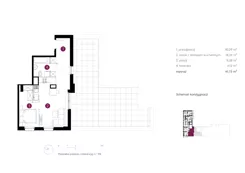 10454838 - zdjęcie nr 4