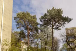 10424377 - zdjęcie nr 1
