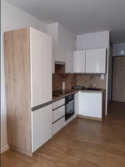 10427208 - zdjęcie nr 2