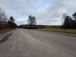 10436554 - zdjęcie nr 2