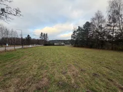 10436554 - zdjęcie nr 4