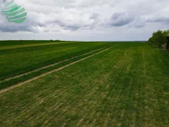 Działkabudowlana1000m2Bobrowiczki-190 - zdjęcie nr 3