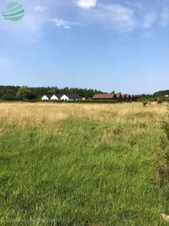 DziałkaRusinowo1200m2-42/79nasprzedaż-312 - zdjęcie nr 3