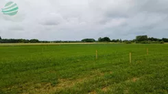 DziałkibudowlanewŁąckubliskomorzaijeziora-900m2-353 - zdjęcie nr 4