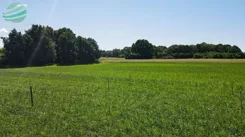 DziałkibudowlanewŁąckubliskomorzaijeziora-1698m2-352 - zdjęcie nr 3