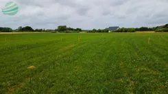 DziałkibudowlanewŁąckubliskomorzaijeziora-1090m2-354 - zdjęcie nr 2