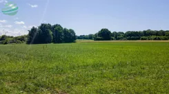 DziałkibudowlanewŁąckubliskomorzaijeziora-1353m2-355 - zdjęcie nr 4