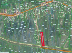 DziałkazpozwoleniemnabudowęDziechciarze-nasprzedaż-329 - zdjęcie nr 4