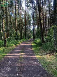 42/17-42 - zdjęcie nr 4