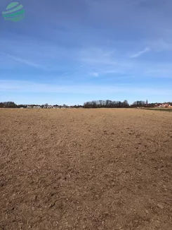 20/23-1550m2-124 - zdjęcie nr 4