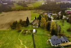 3051 - zdjęcie nr 2