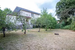 2905 - zdjęcie nr 0