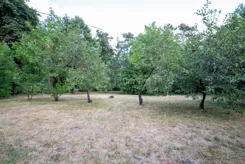 2905 - zdjęcie nr 4