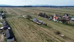 3149 - zdjęcie nr 3