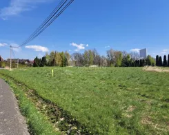 3150 - zdjęcie nr 2