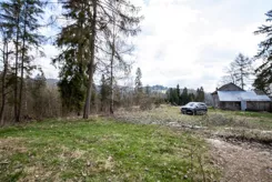 2882 - zdjęcie nr 3